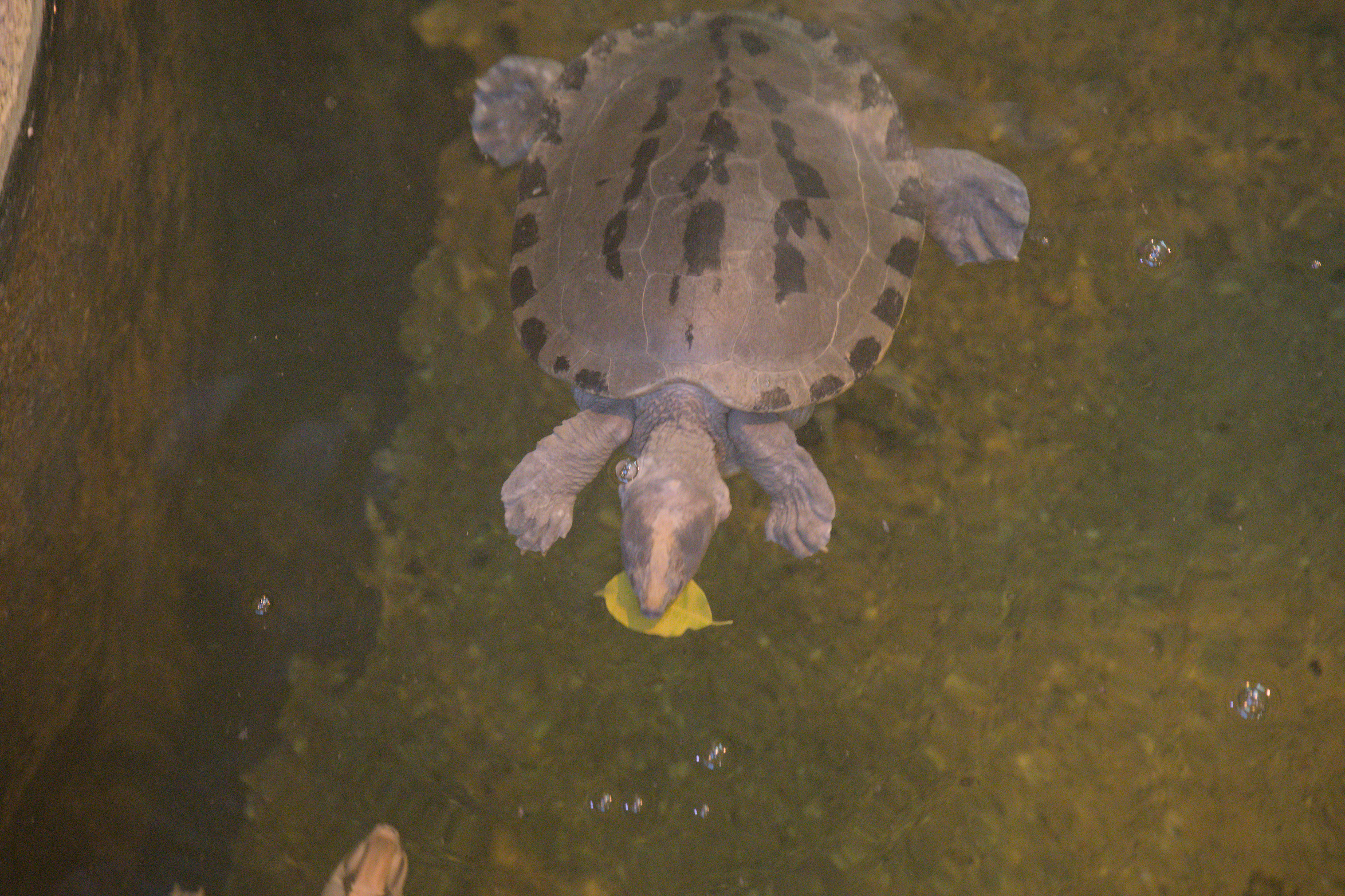 2025/10/12 - zoo/DSC_0144.jpg